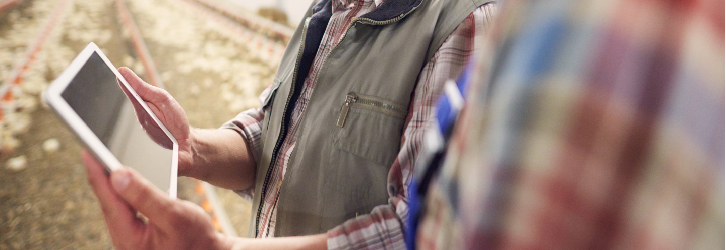 Programs Designed to Help Your Business