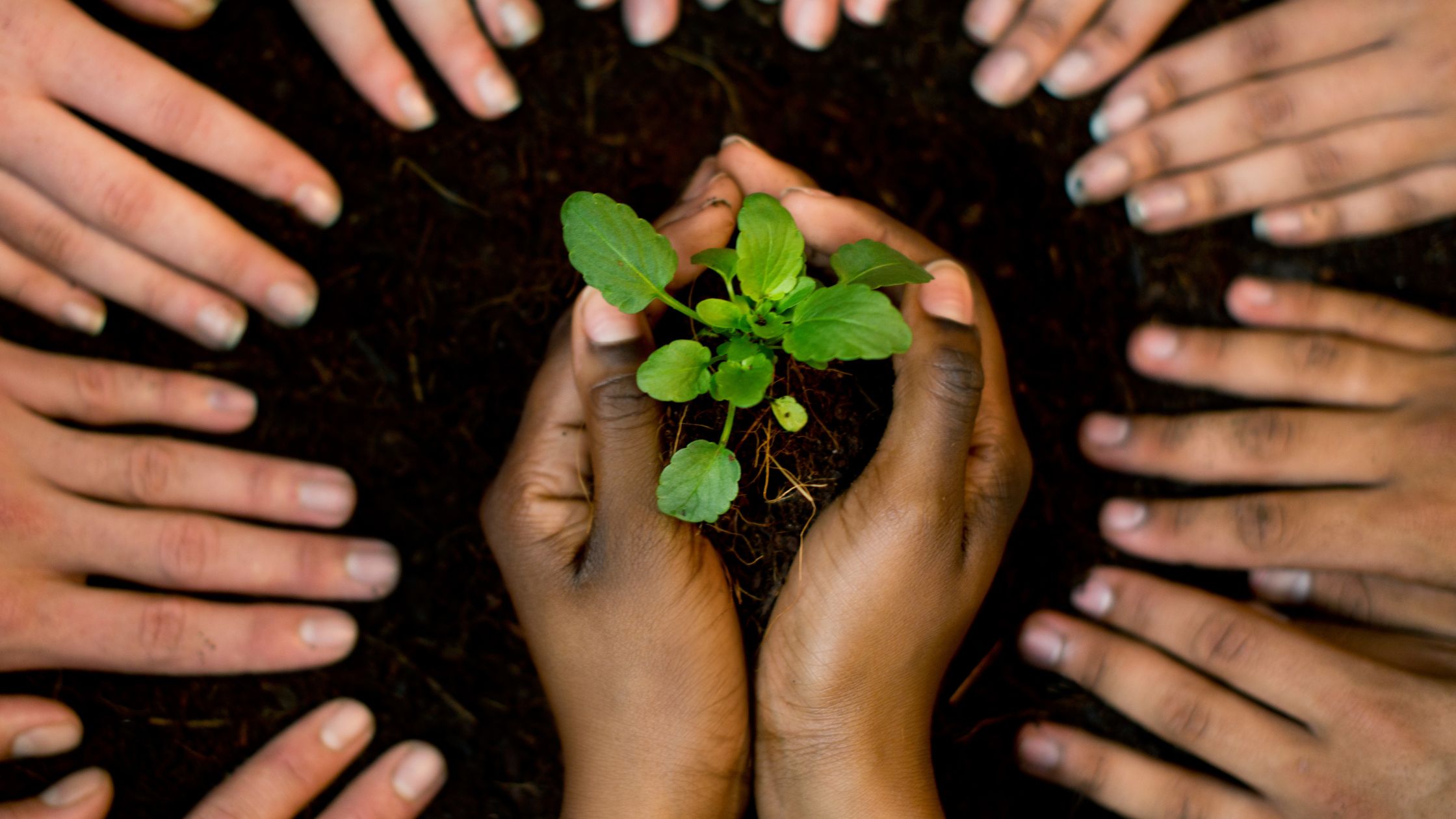 Partner with Us - Office of Business and Entrepreneurship